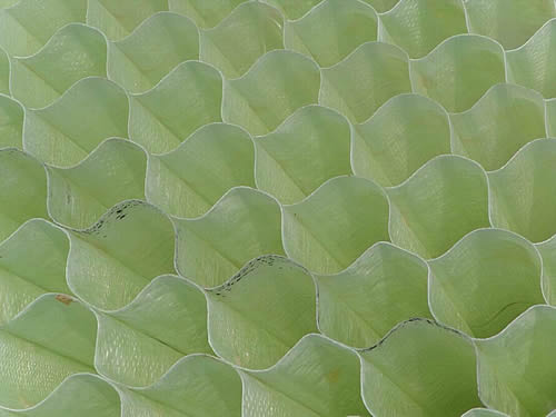 �����б������